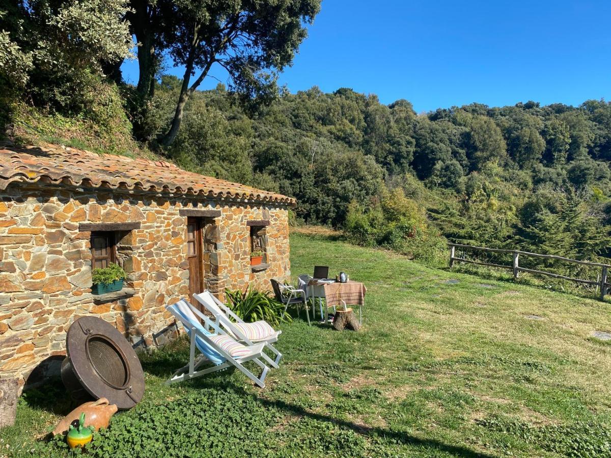Can Llobet Espai Rural Slow Fogars de Montclus Exterior photo
